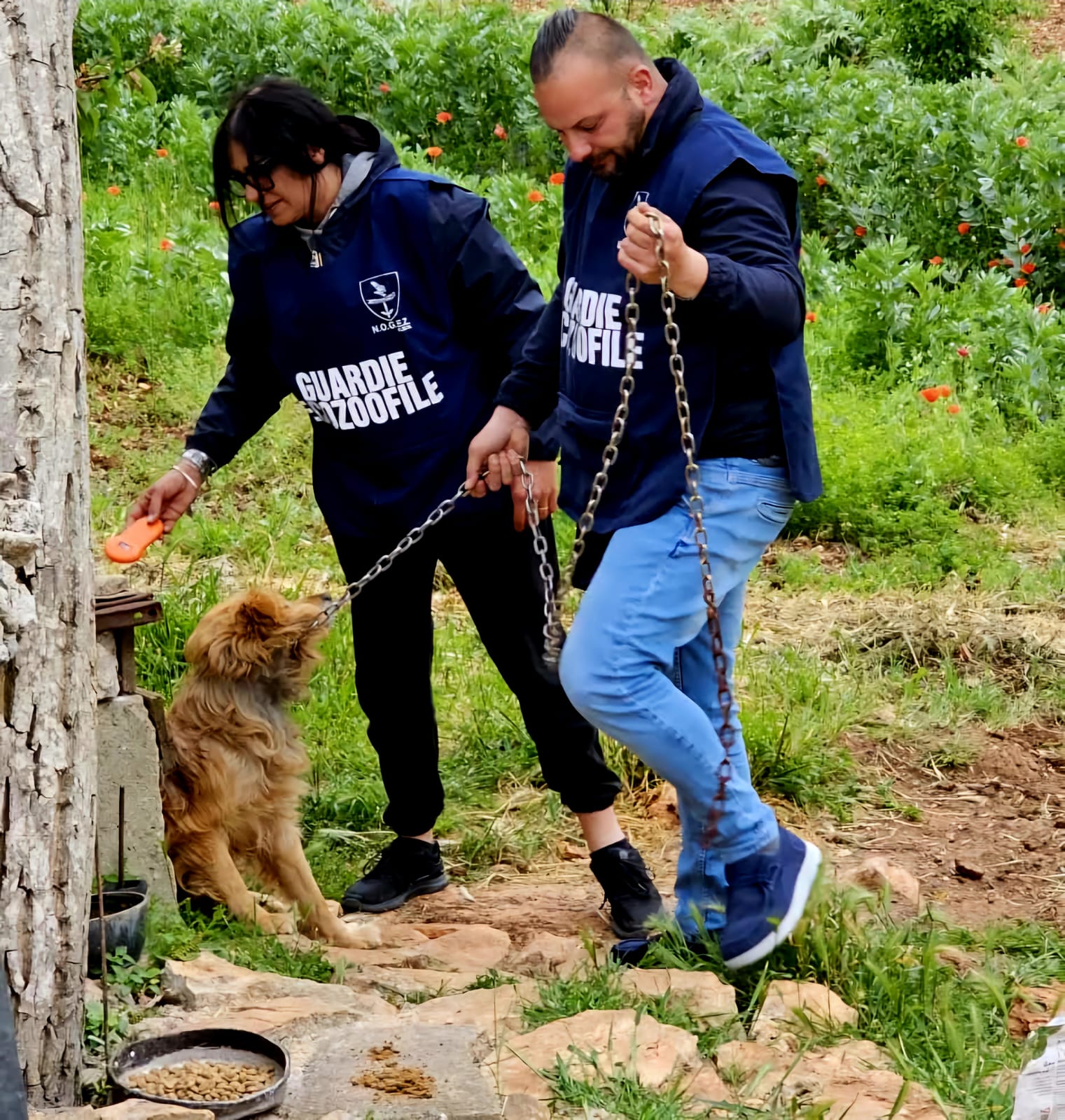 Attività sul campo con un cane
