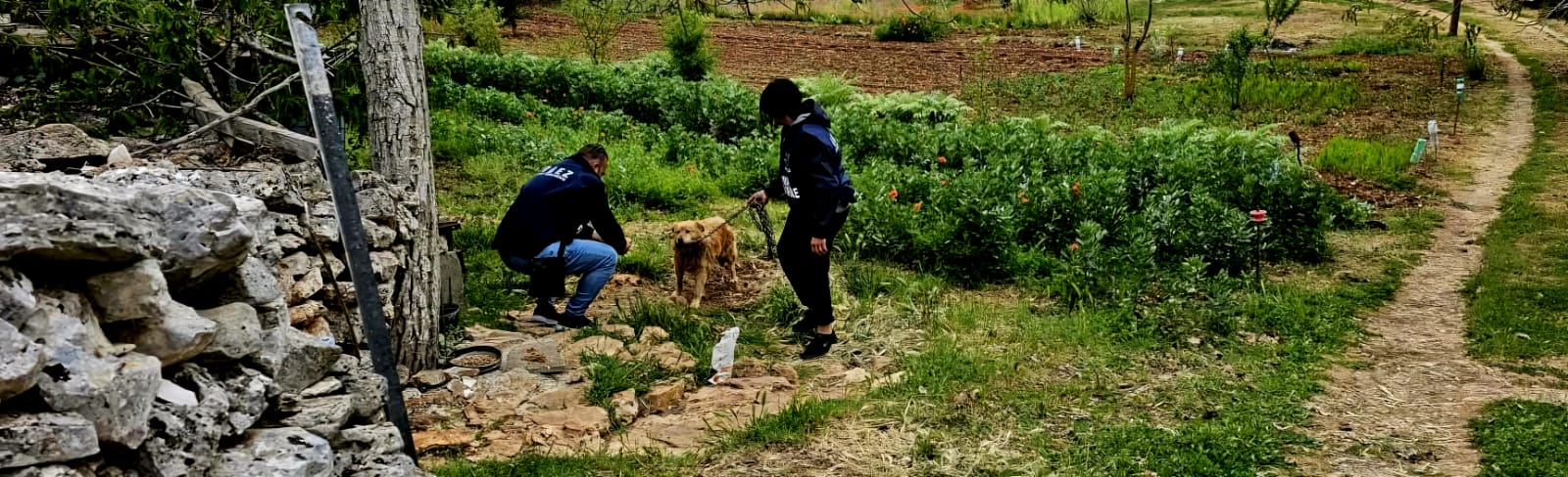 Attività in area rurale