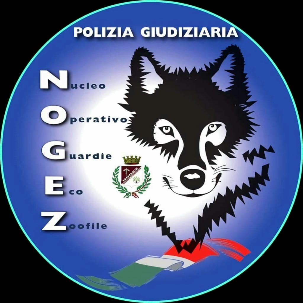 Logo originale N.O.G.E.Z.
